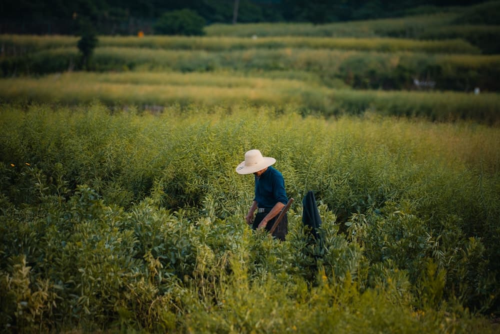 Traceability: From Farm to Jar
