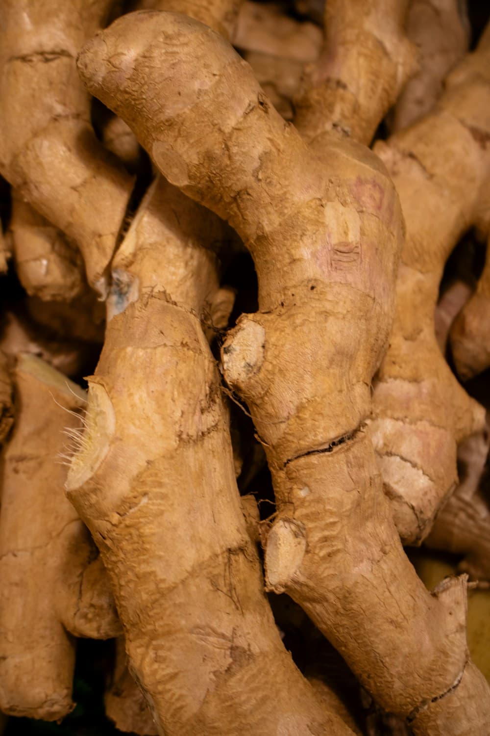Ginger: Ancient Remedy for Modern Wellness