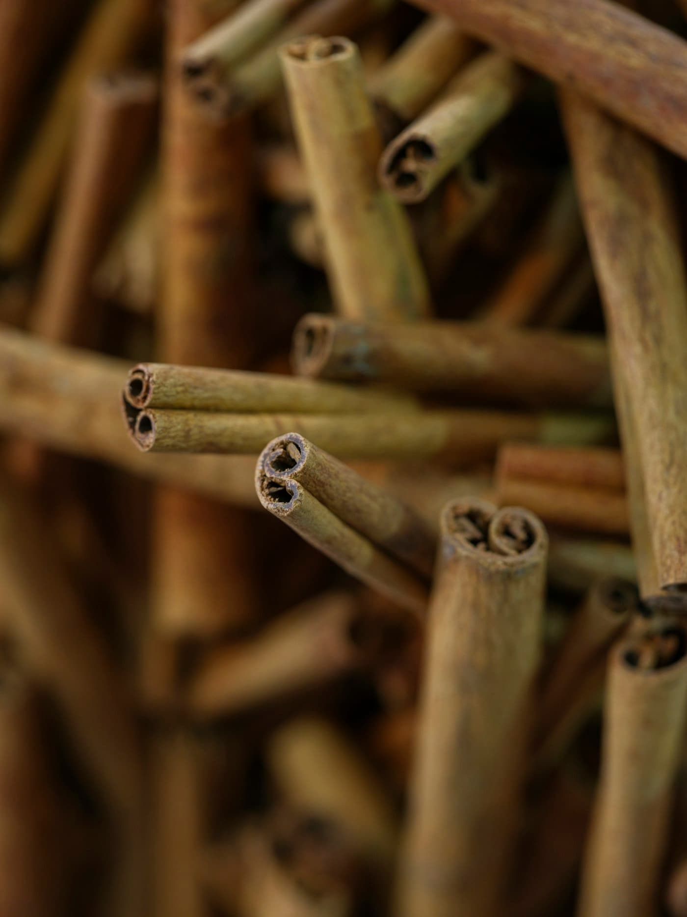 Cinnamon sticks and dried spices
